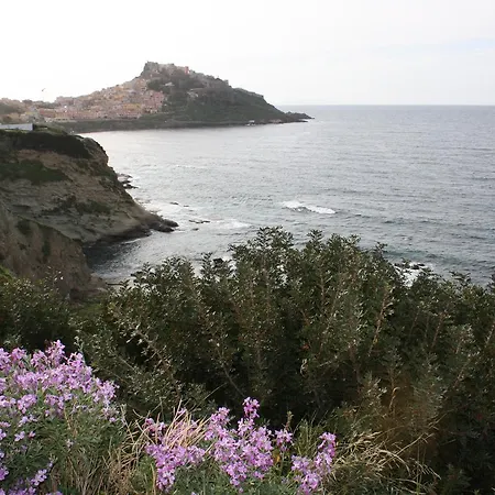 Casa Arborea